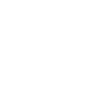 Icono Alimentación