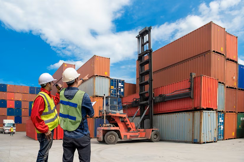  Control Sanitario y Calidad en Aduanas: Requisitos para la Importación de Productos de Consumo Humano
